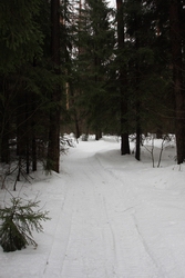 Resize of IMG_6372 Шли сначала по накатанной дороге.JPG