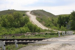 Resize of IMG_6437.jpg