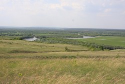 Resize of IMG_6469.jpg