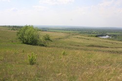 Resize of IMG_6470.jpg