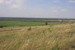 Resize of IMG_6472.jpg