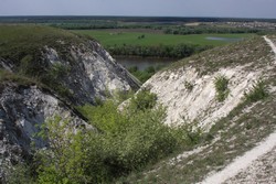 Resize of IMG_6489.jpg