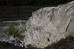 Resize of IMG_6537.jpg