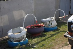 Resize of IMG_6575.jpg