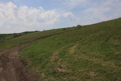 Resize of IMG_6588.jpg