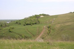 Resize of IMG_6593.jpg