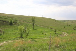 Resize of IMG_6597.jpg