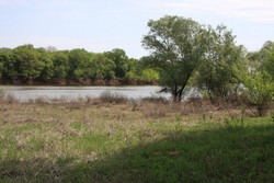 Resize of IMG_6600.jpg