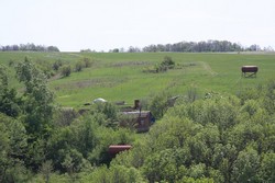 Resize of IMG_6688.jpg