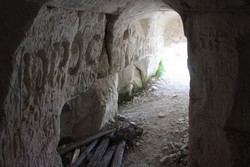 Resize of IMG_6695.jpg