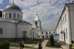 Resize of IMG_6777.jpg