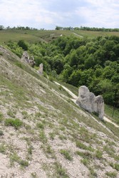 Resize of IMG_6793.jpg