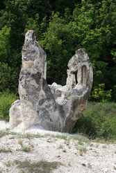 Resize of IMG_6806.jpg