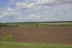 Resize of IMG_6815.jpg
