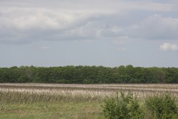 Resize of IMG_6820.jpg