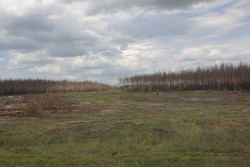 Resize of IMG_6839.jpg