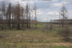 Resize of IMG_6841.jpg