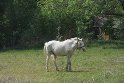 Resize of IMG_6852.jpg