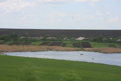 Resize of IMG_6859.jpg