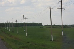 Resize of IMG_6860.jpg