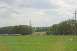 Resize of IMG_6876.jpg