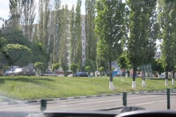 Resize of IMG_6907.jpg