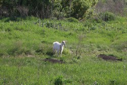 Resize of IMG_6971.jpg