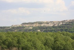 Resize of IMG_6974.jpg