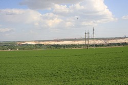Resize of IMG_7014.jpg