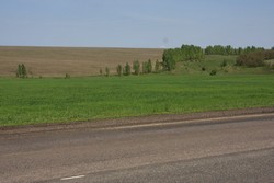 Resize of IMG_7064.jpg