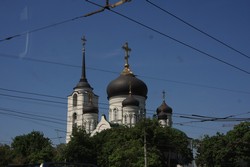 Resize of IMG_7137.jpg
