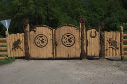 Resize of IMG_7172.jpg