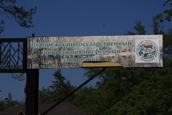 Resize of IMG_7175.jpg
