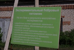 Resize of IMG_7180.jpg