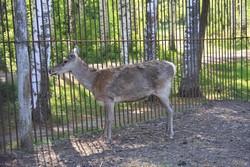 Resize of IMG_7197.jpg
