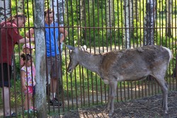 Resize of IMG_7201.jpg