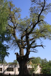 Resize of IMG_7205.jpg