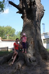 Resize of IMG_7209.jpg