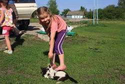 Resize of IMG_7238.jpg