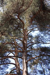 Resize of IMG_7289.jpg