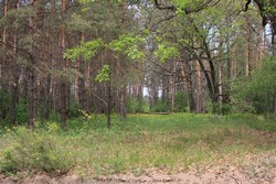 Resize of IMG_7317.jpg