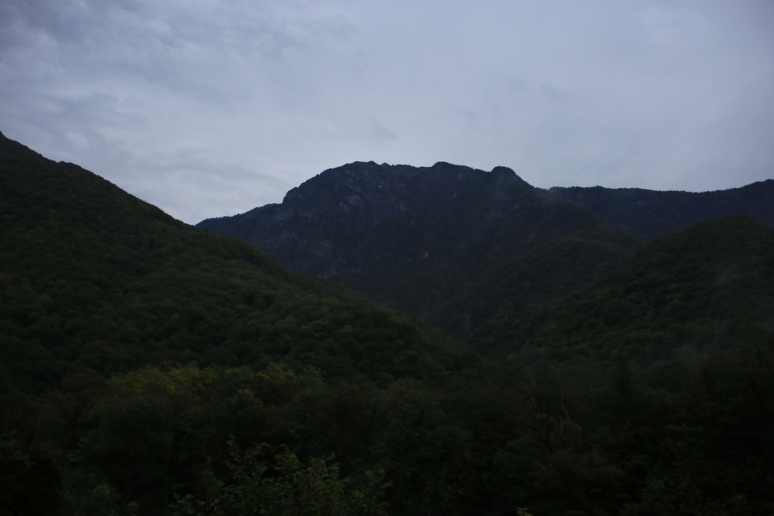 IMG_0207.JPG