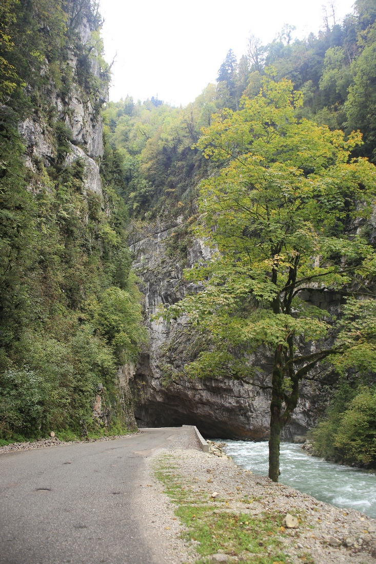 IMG_0316.JPG