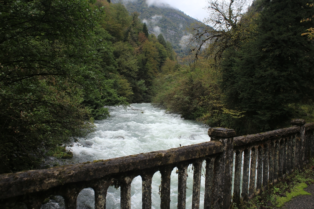 IMG_0334.JPG