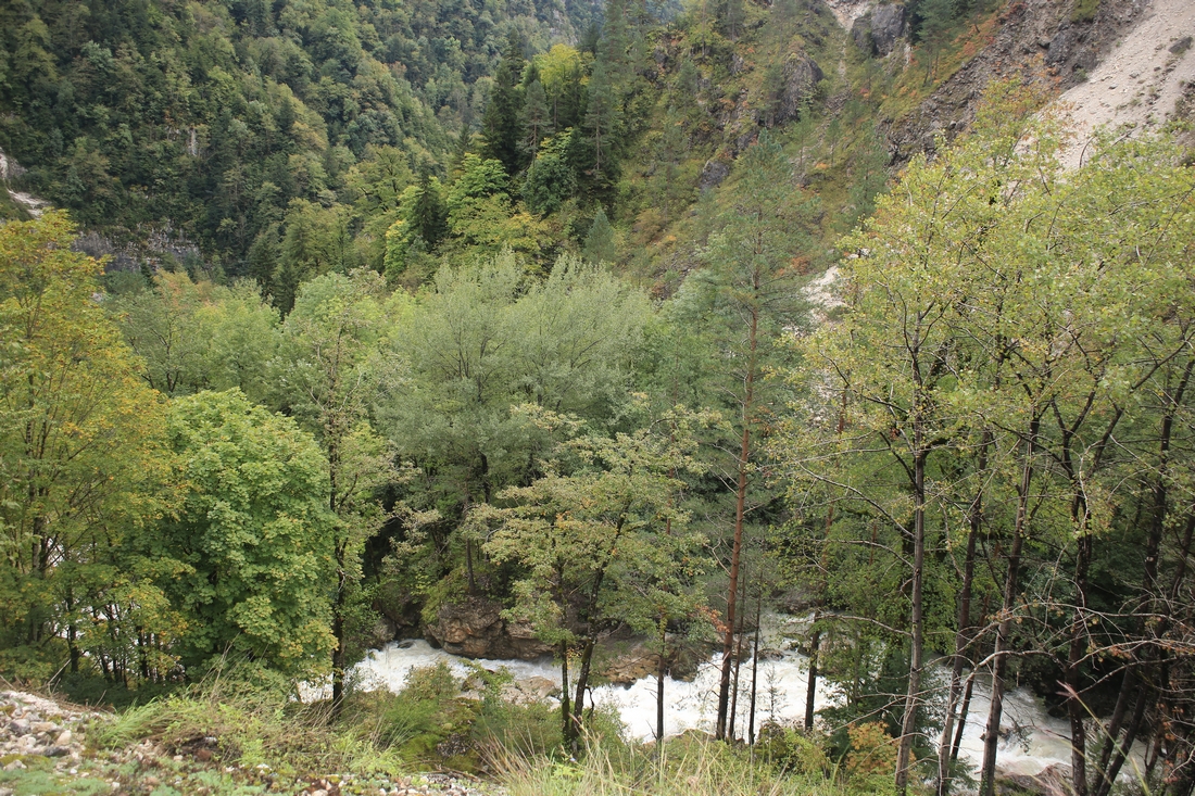 IMG_0340.JPG