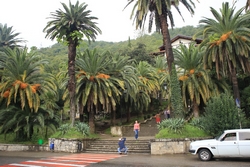 Resize of IMG_0173.JPG