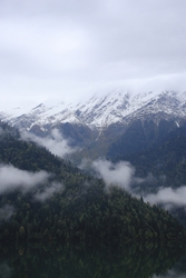 Resize of IMG_0266.JPG
