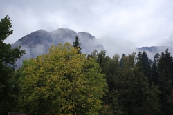 Resize of IMG_0271.JPG