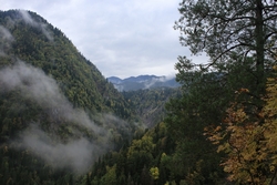 Resize of IMG_0283.JPG