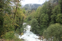 Resize of IMG_0291.JPG